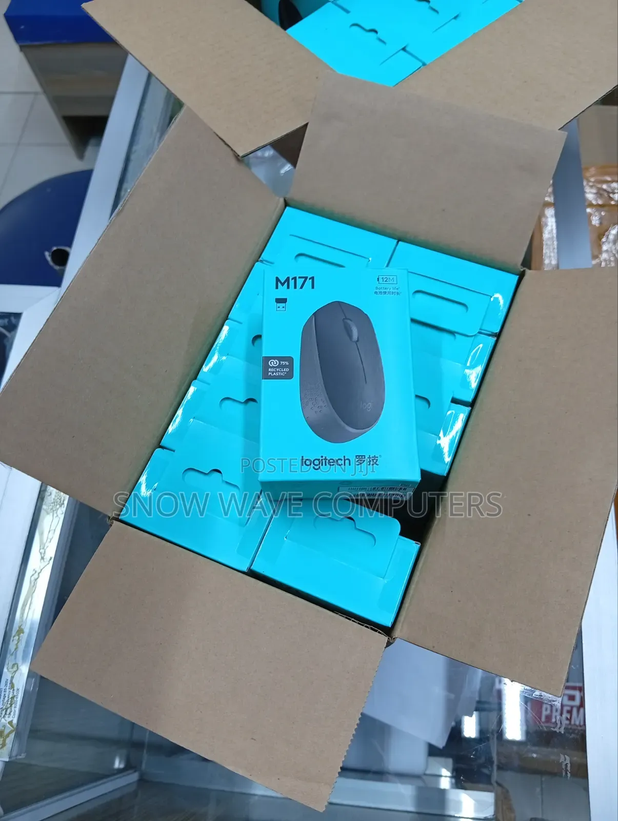 Logitech M171 Wireless Optical Mouse