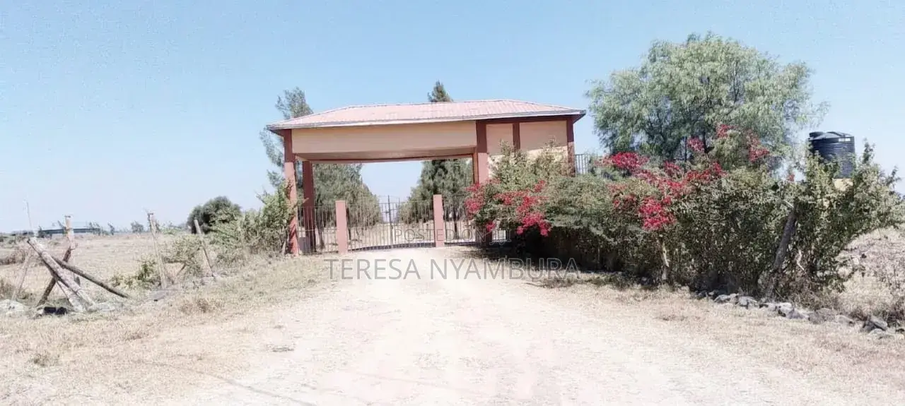 50/100 Residential Plot on Sale
