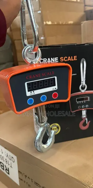 300kg Crane Hanging Scale