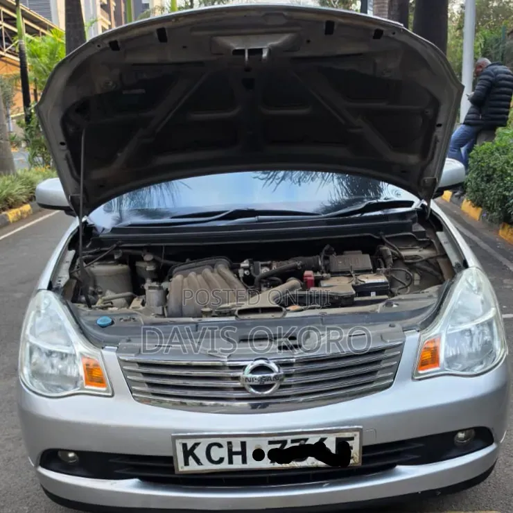 Nissan Sylphy 2010 Gray