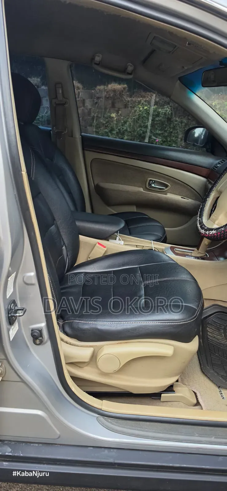 Nissan Sylphy 2010 Gray