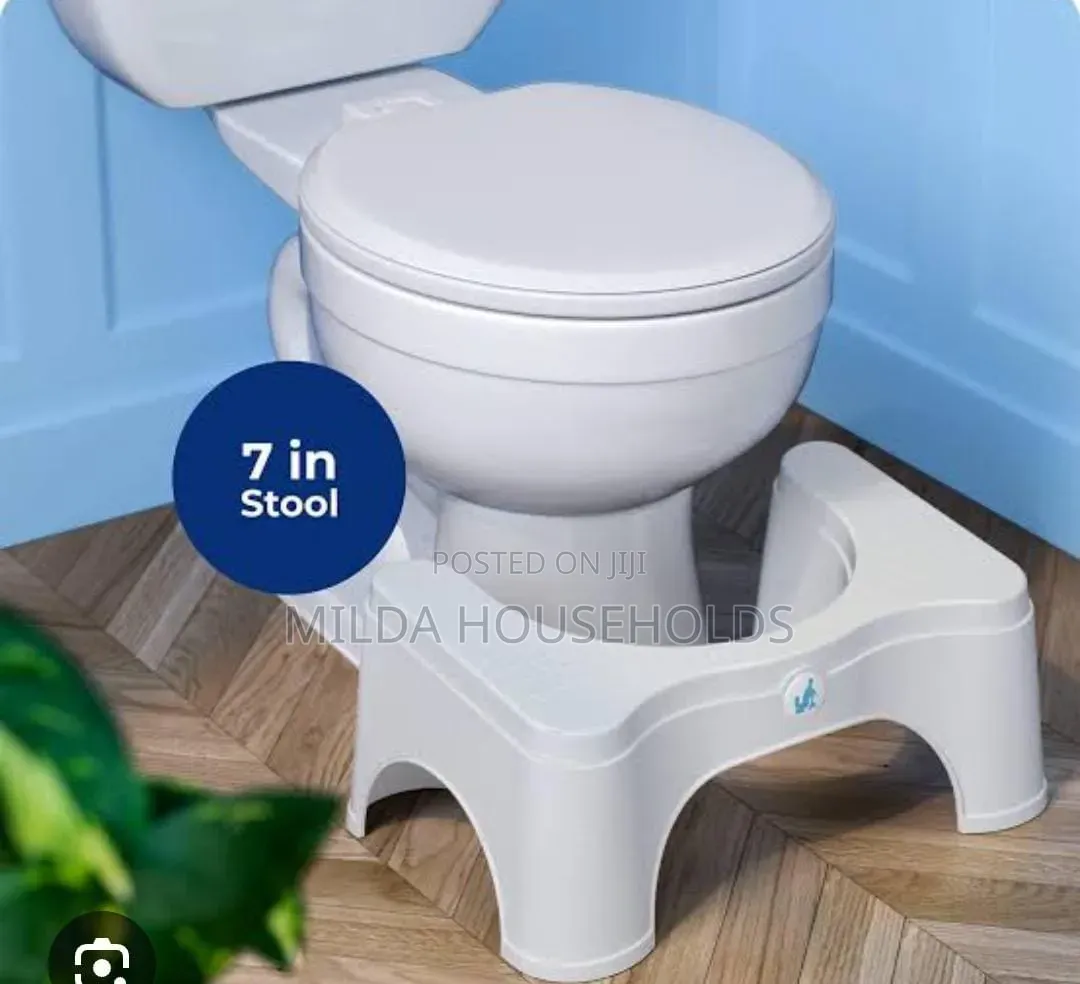 Toilet Step One to Keep a 350 Squat on a Modern Toilet Seat.