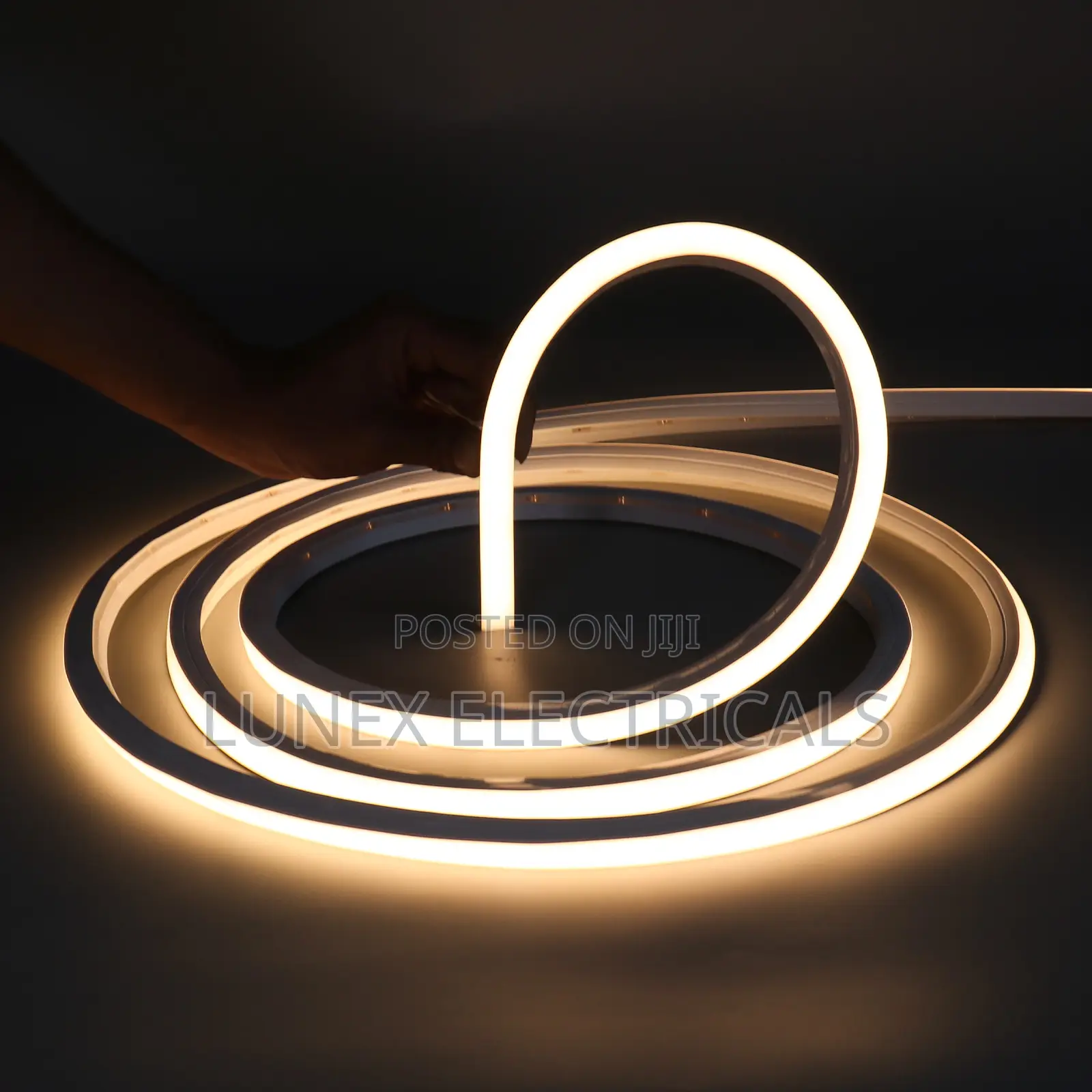 Neon Strip Light LED Underwater Light