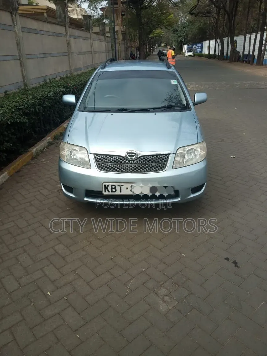 Toyota Corolla Fielder 2005 Silver