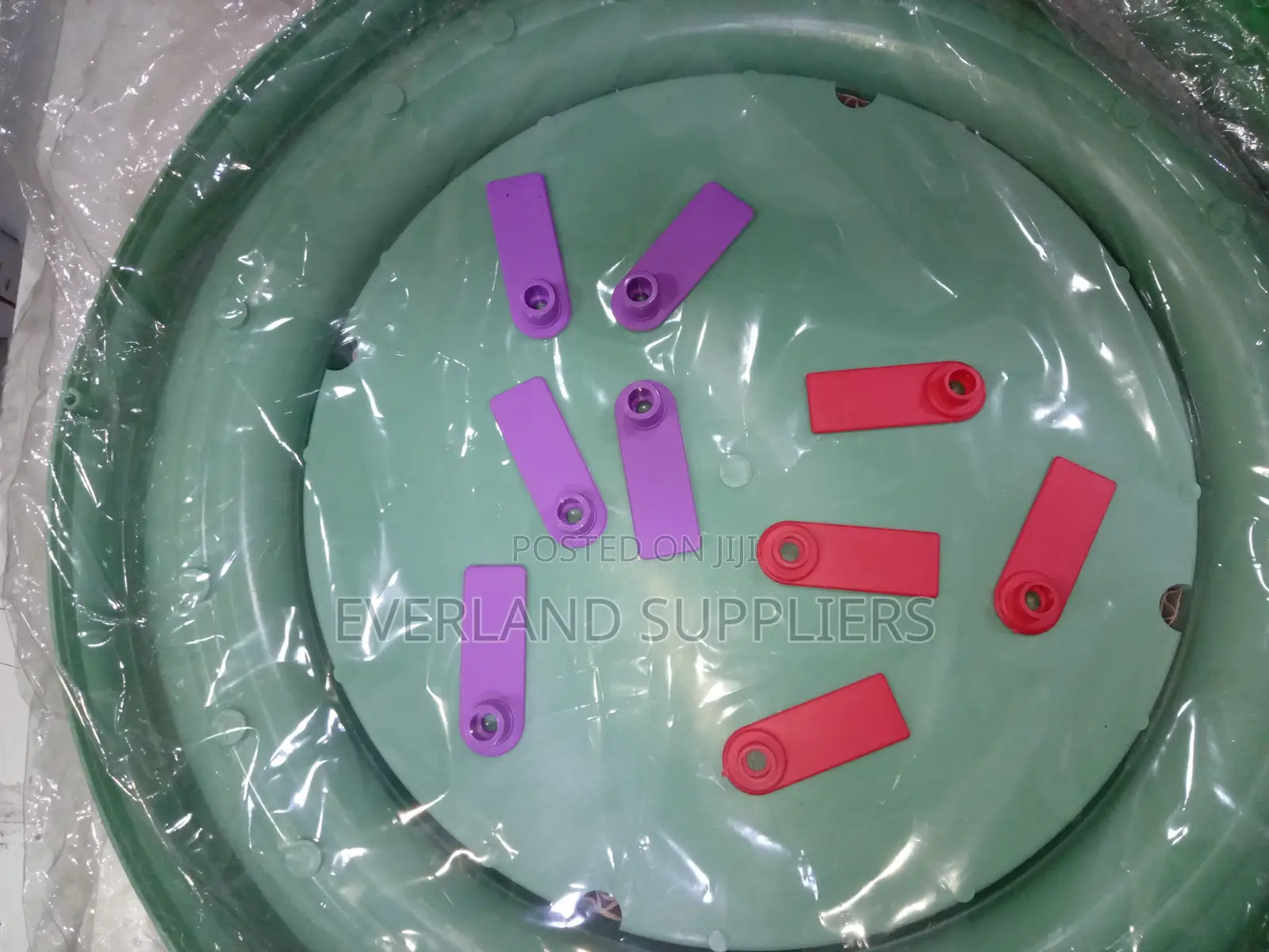 Ear Tags - Color-Based Distinction Wholesale