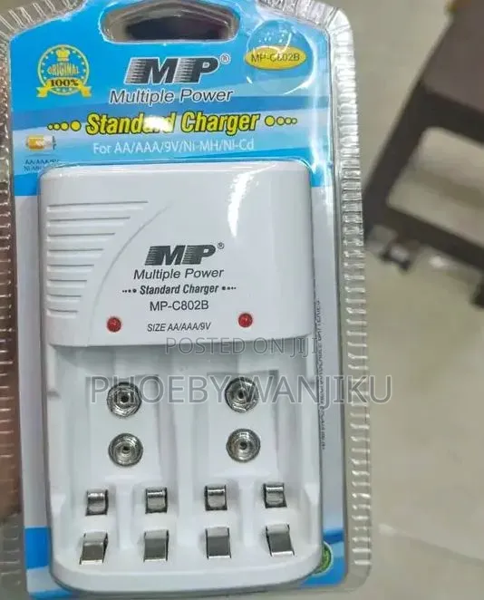 Standard Multiple Battery Charger