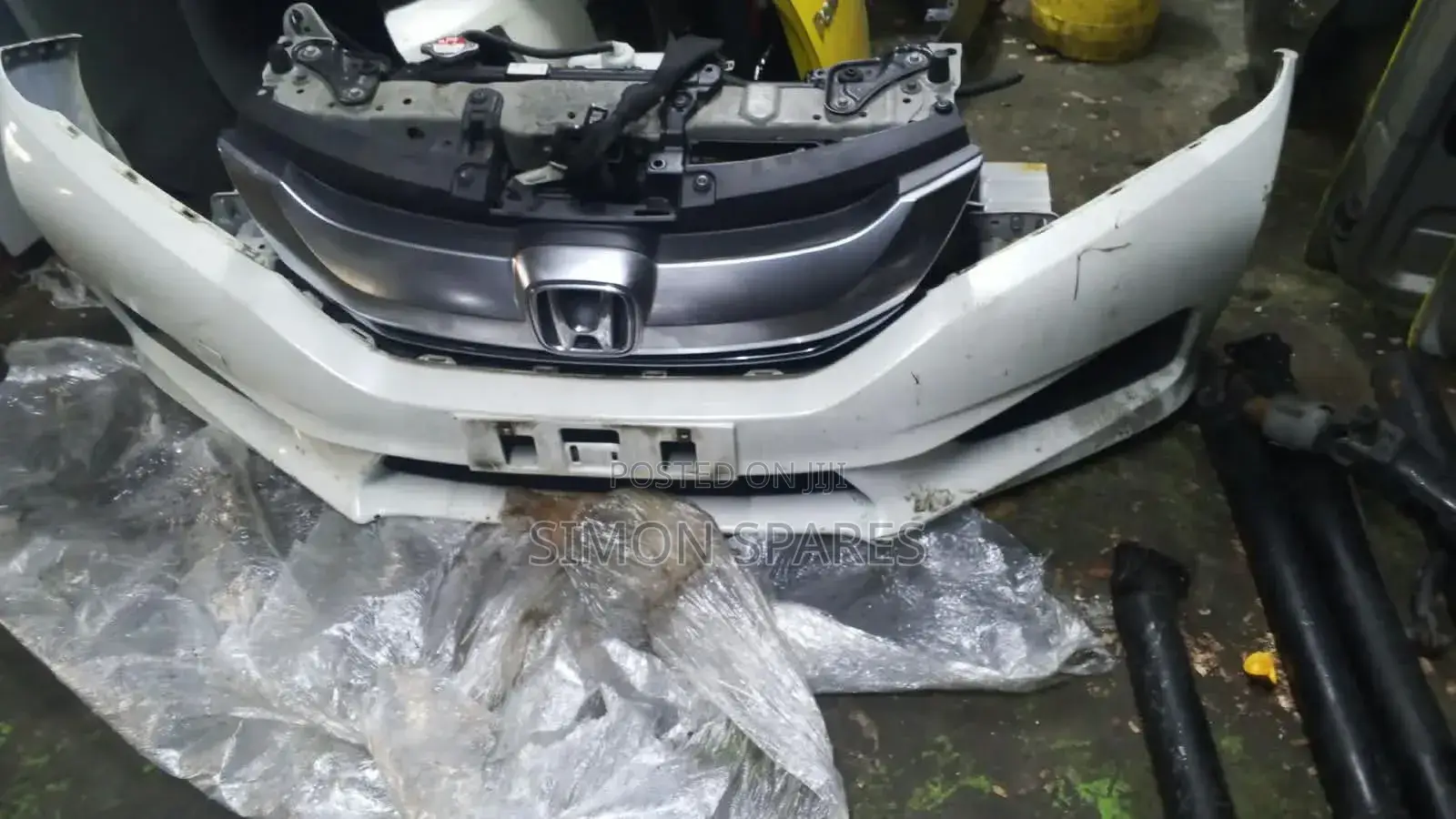 Honda Grace Nosecut