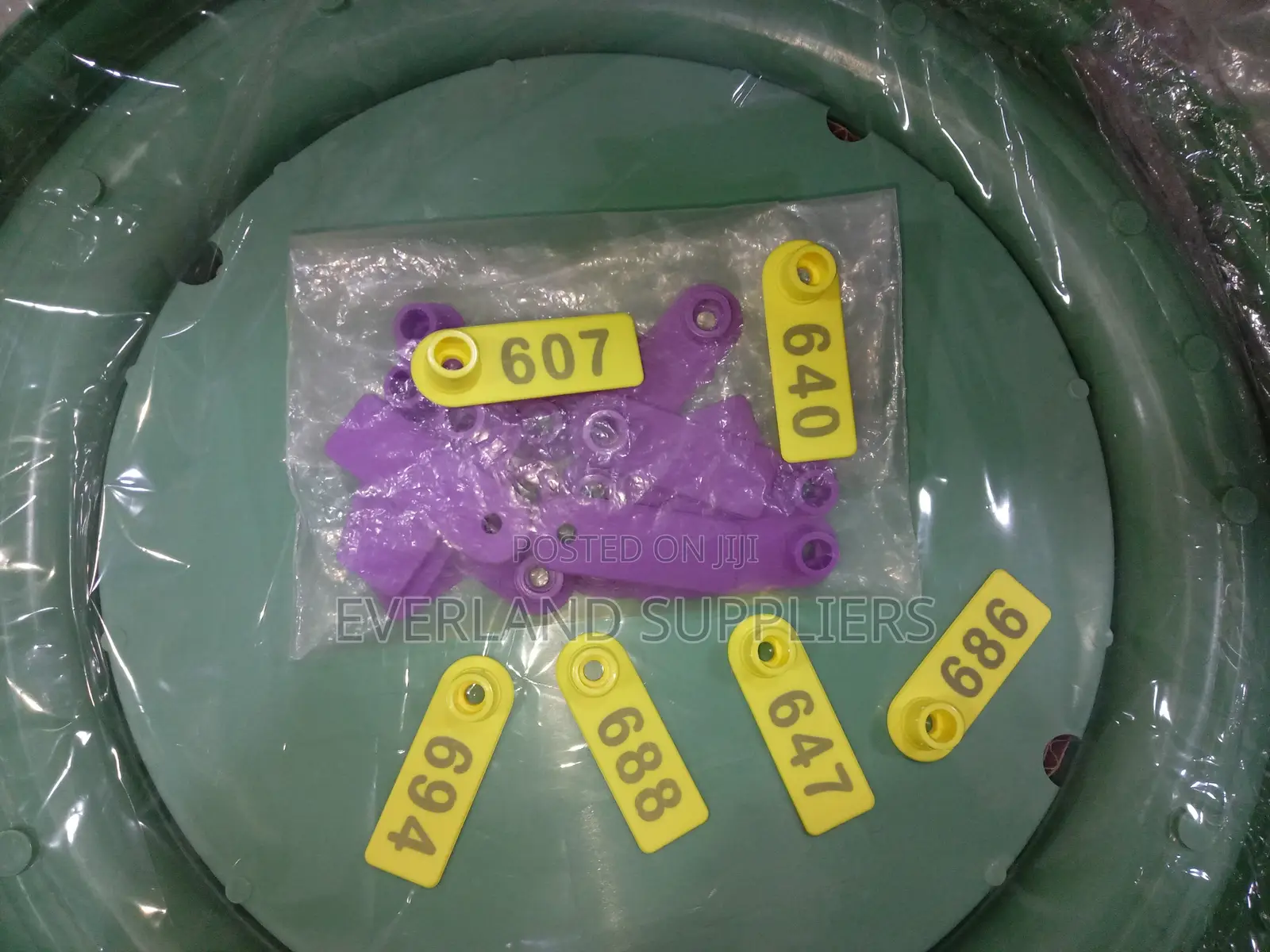 Ear Tags - Color Differentiation Wholesale