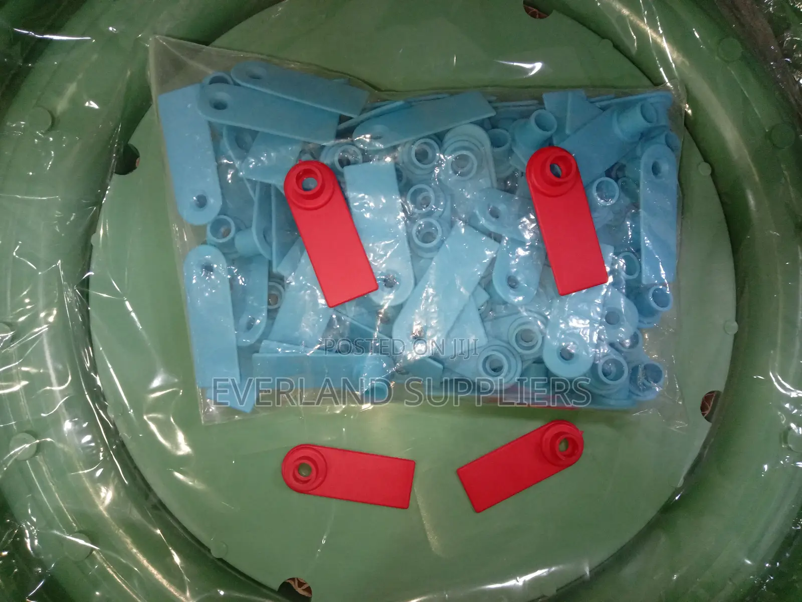 Ear Tags - Visual Color Coding Wholesale