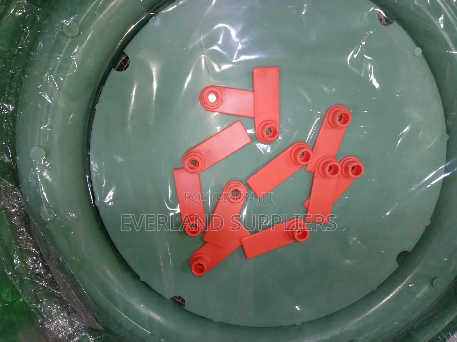 Ear Tags - Neat Arrangement Wholesale