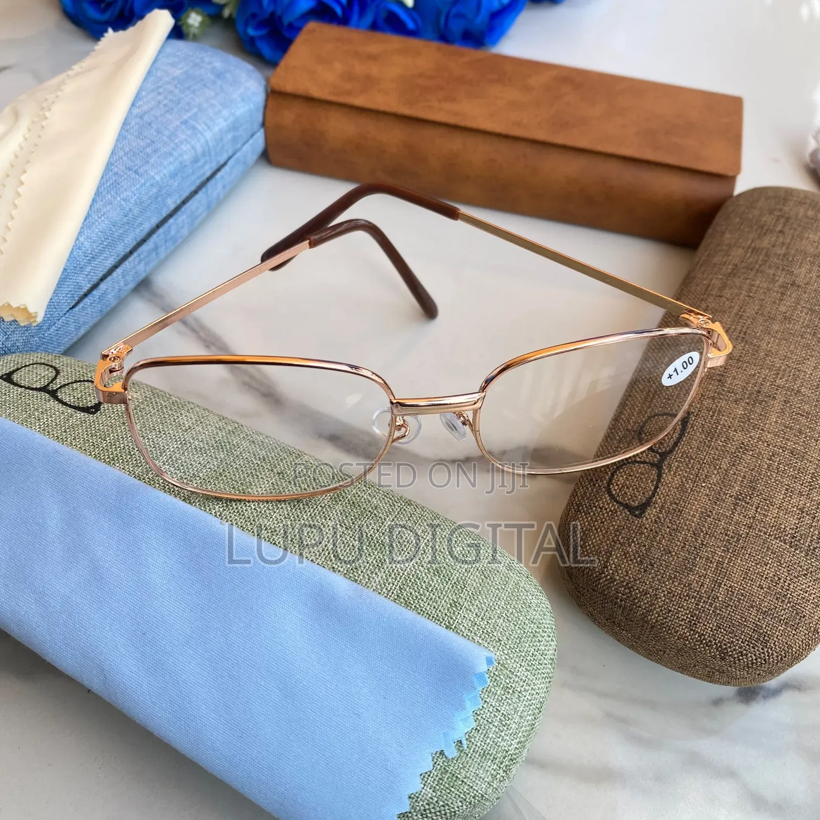READING SUNGLASSES (Sunnies Only)