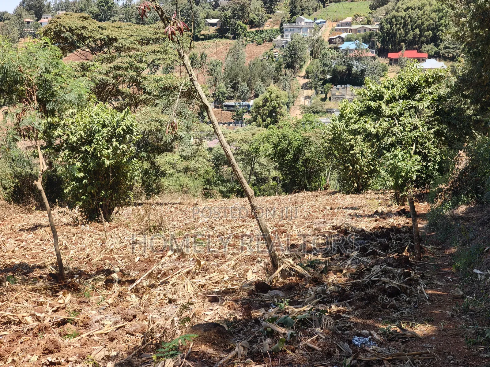 One Acre Piece of Land for Sale in Ngong, Olkeri. Fertile Red Soil