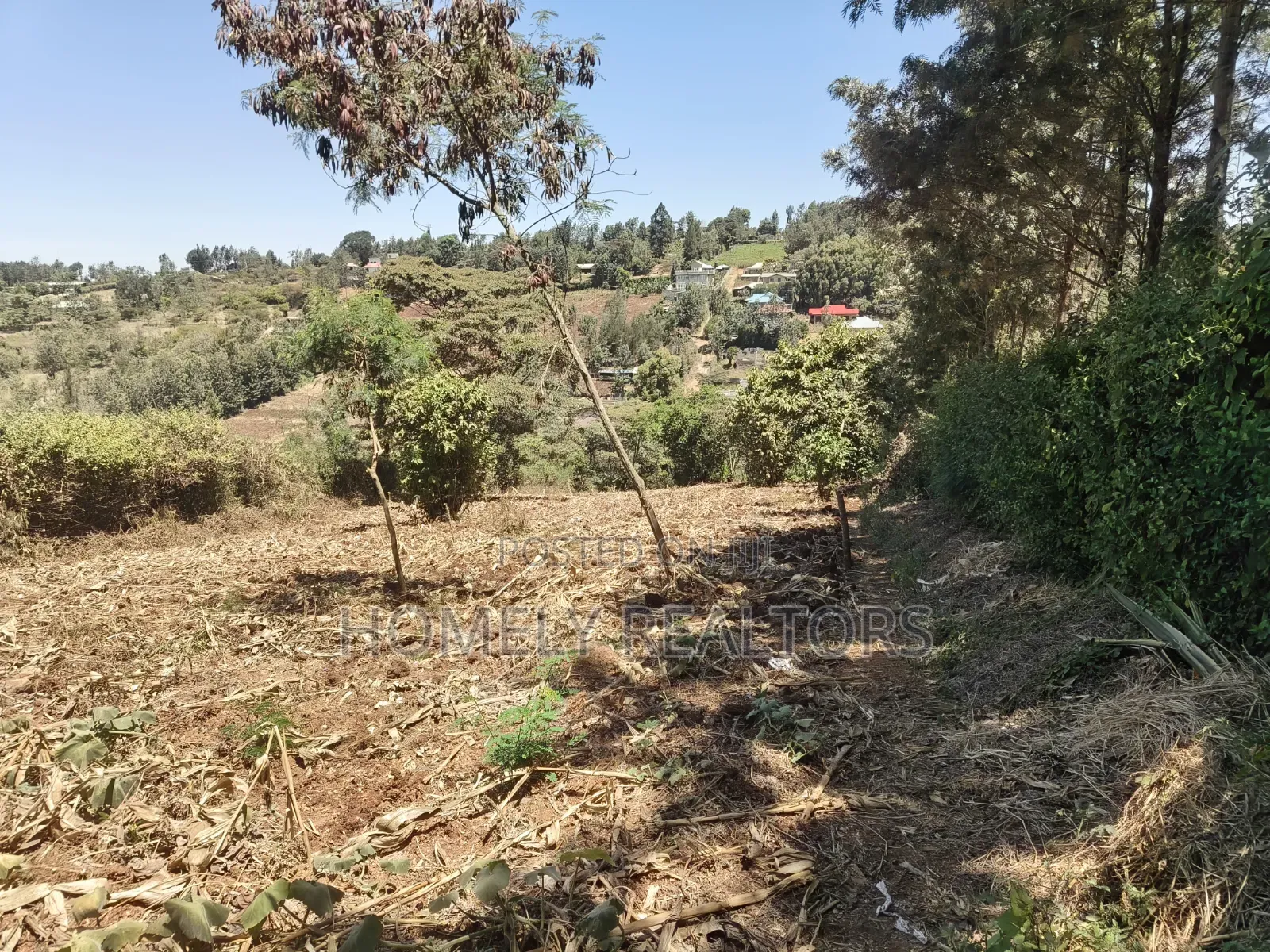 One Acre Piece of Land for Sale in Ngong, Olkeri. Fertile Red Soil