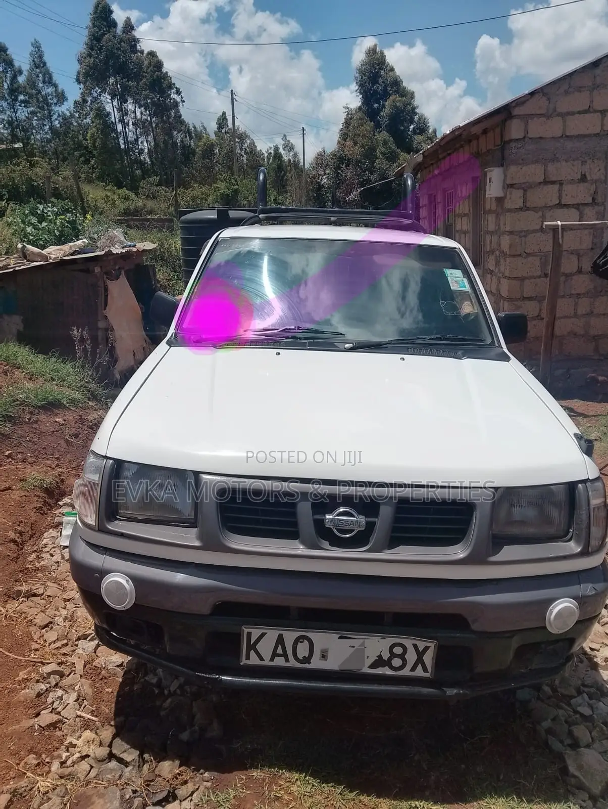 Nissan Hardbody 2003 White