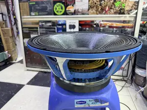 Derwel 18DE125F 18 Inch Speaker