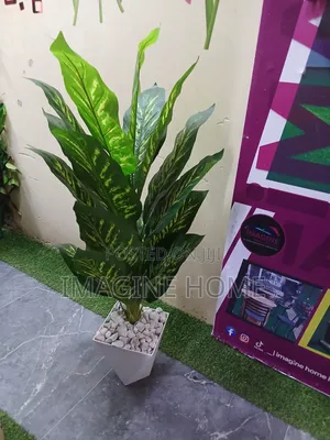 Artificial Plants for Both Interior/Exterior