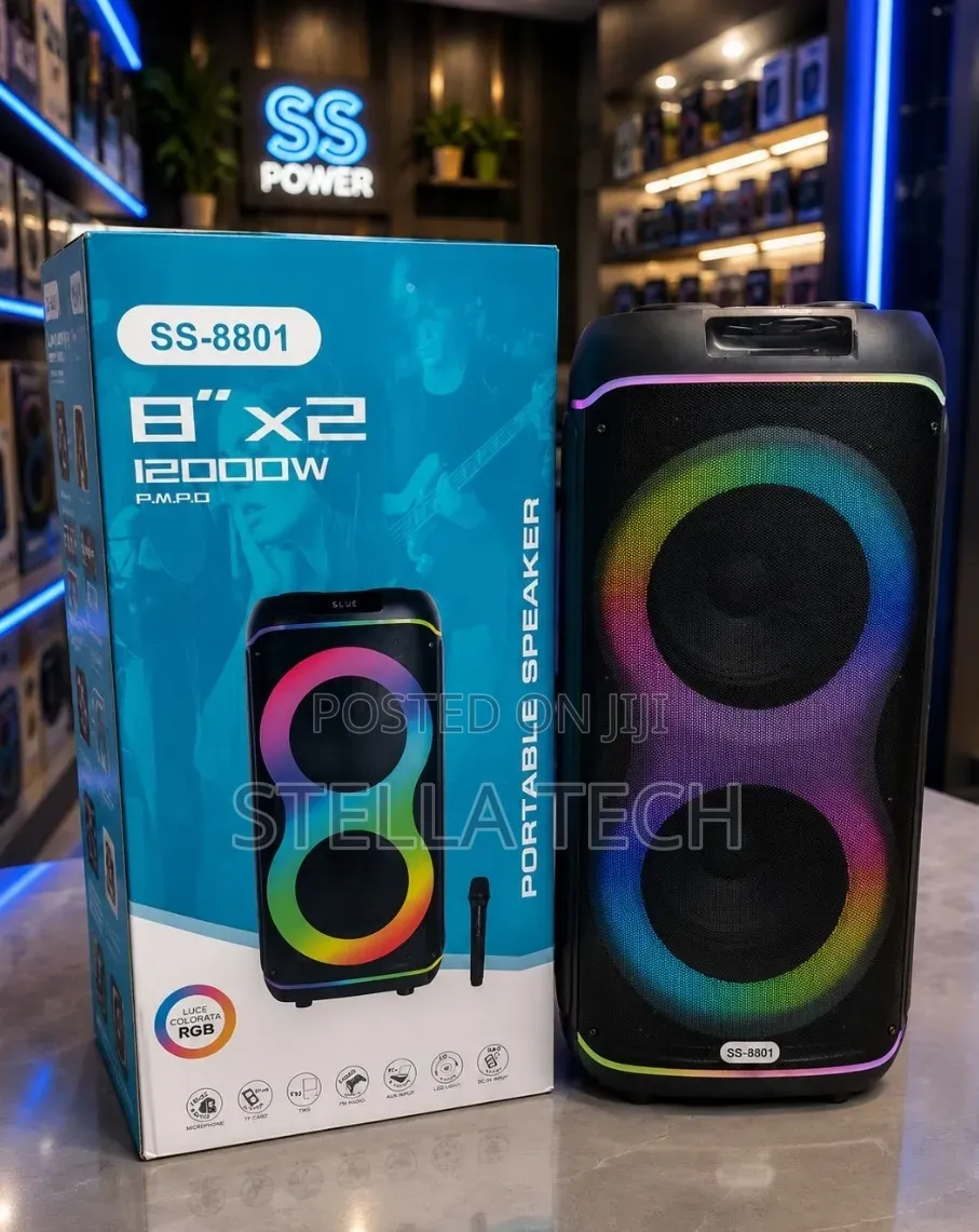Party Rocker RECHARGEABLE 1200w SS -8801 With Microphone