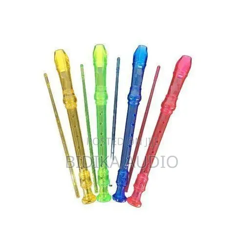 CBC and Senior Music Class Flute Instrument Descant Recorder