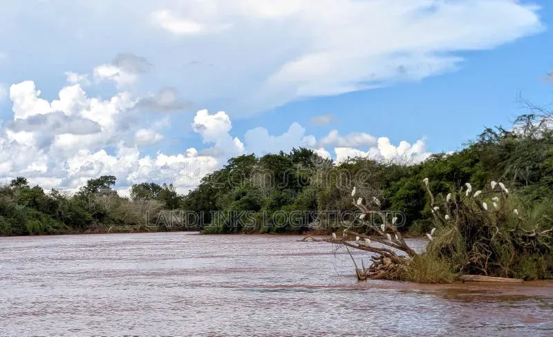 500 to 1000 Acres for Lease Tana River for Farming at Per Year