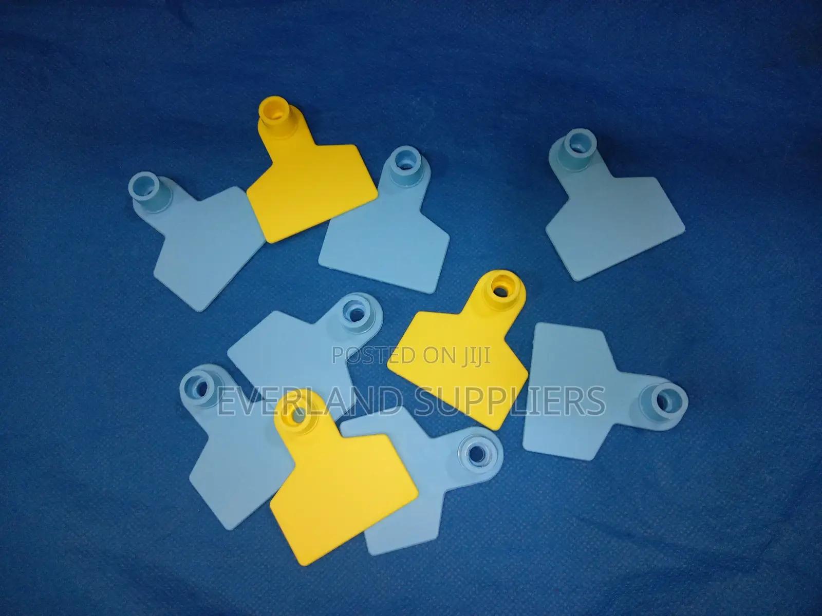 Ear Tags - Distinguishable