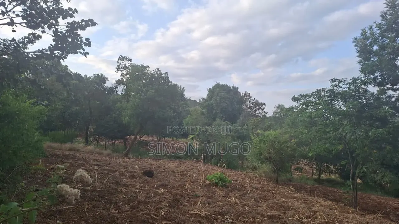 Mugumo Estate Kamiti Road Prime Well Drained Red Soil 1/4 Acre