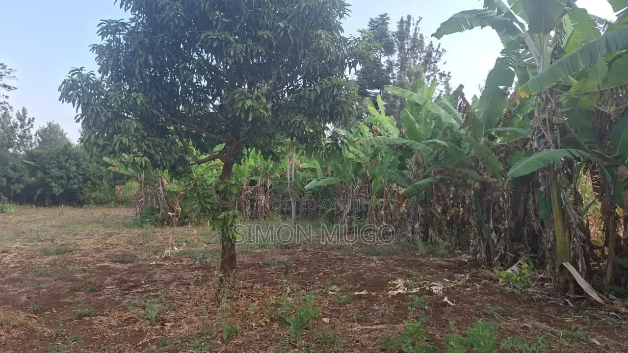 Mugumo Estate Kamiti Road Prime Well Drained Red Soil 1/4 Acre