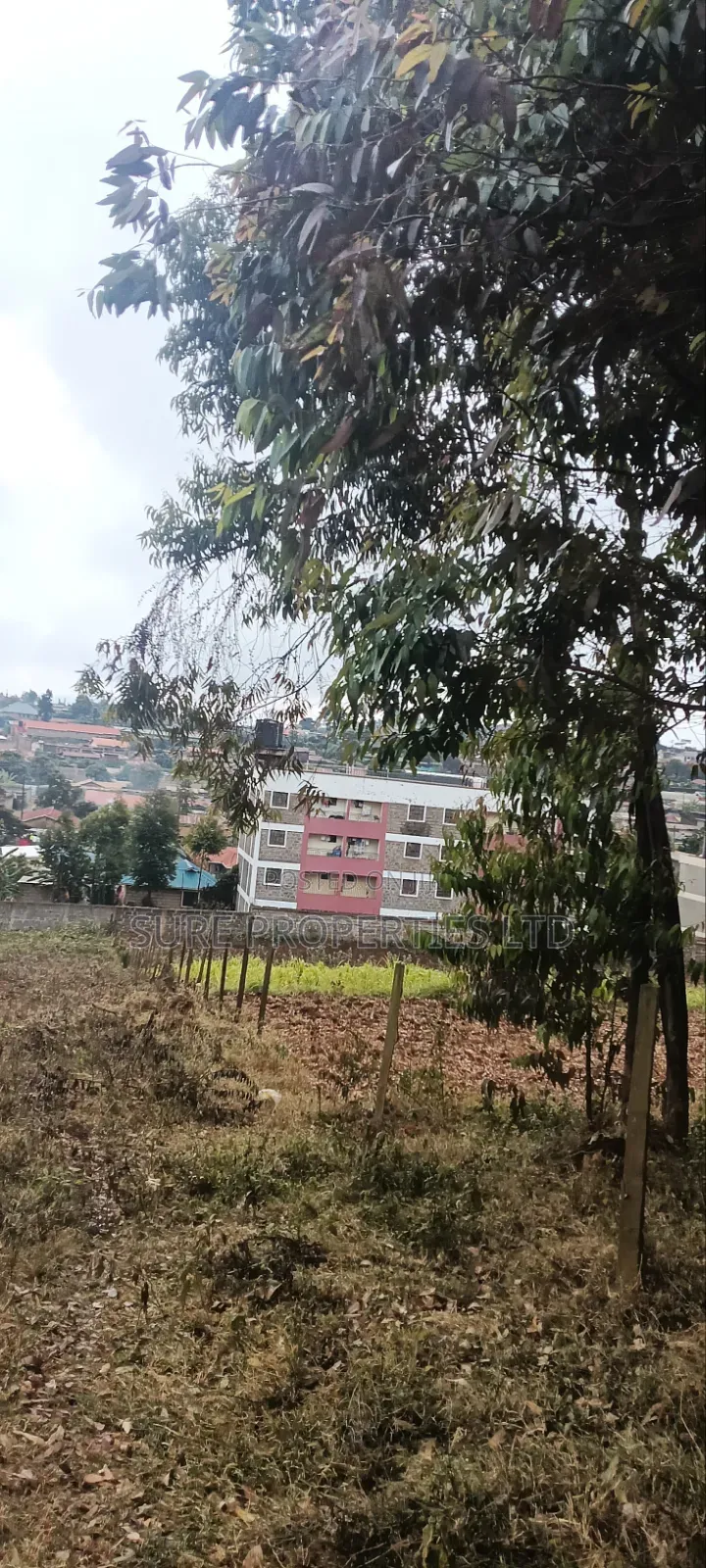 Tilisi 4 Acres Touching Tarmac