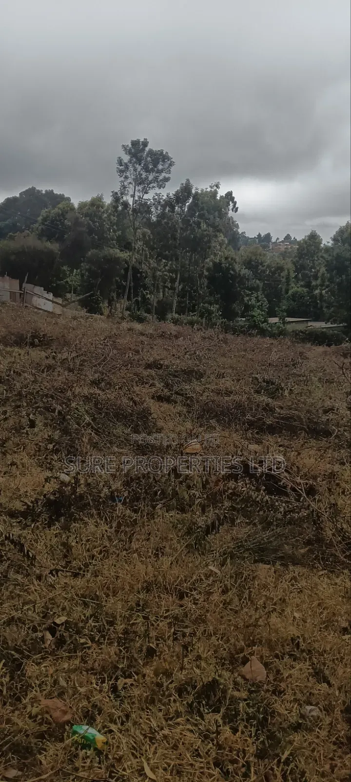 Tilisi 4 Acres Touching Tarmac