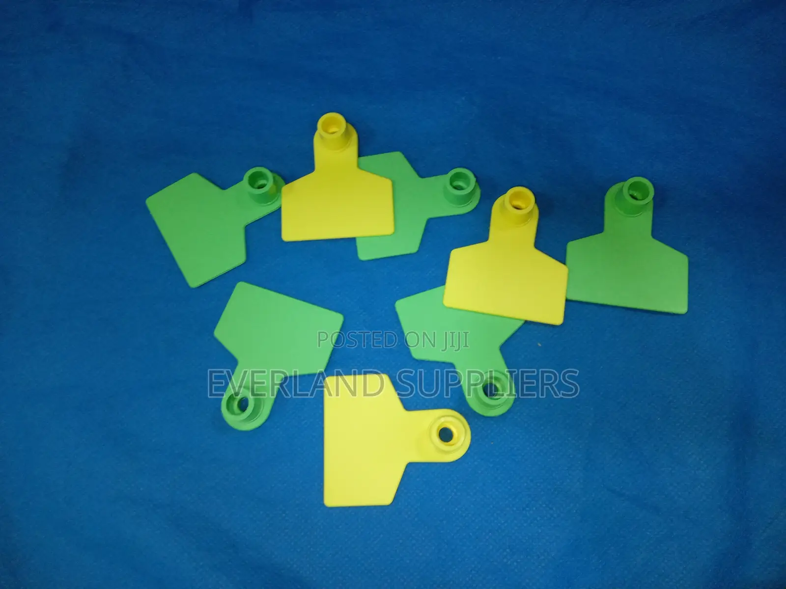 Ear Tag - Structured