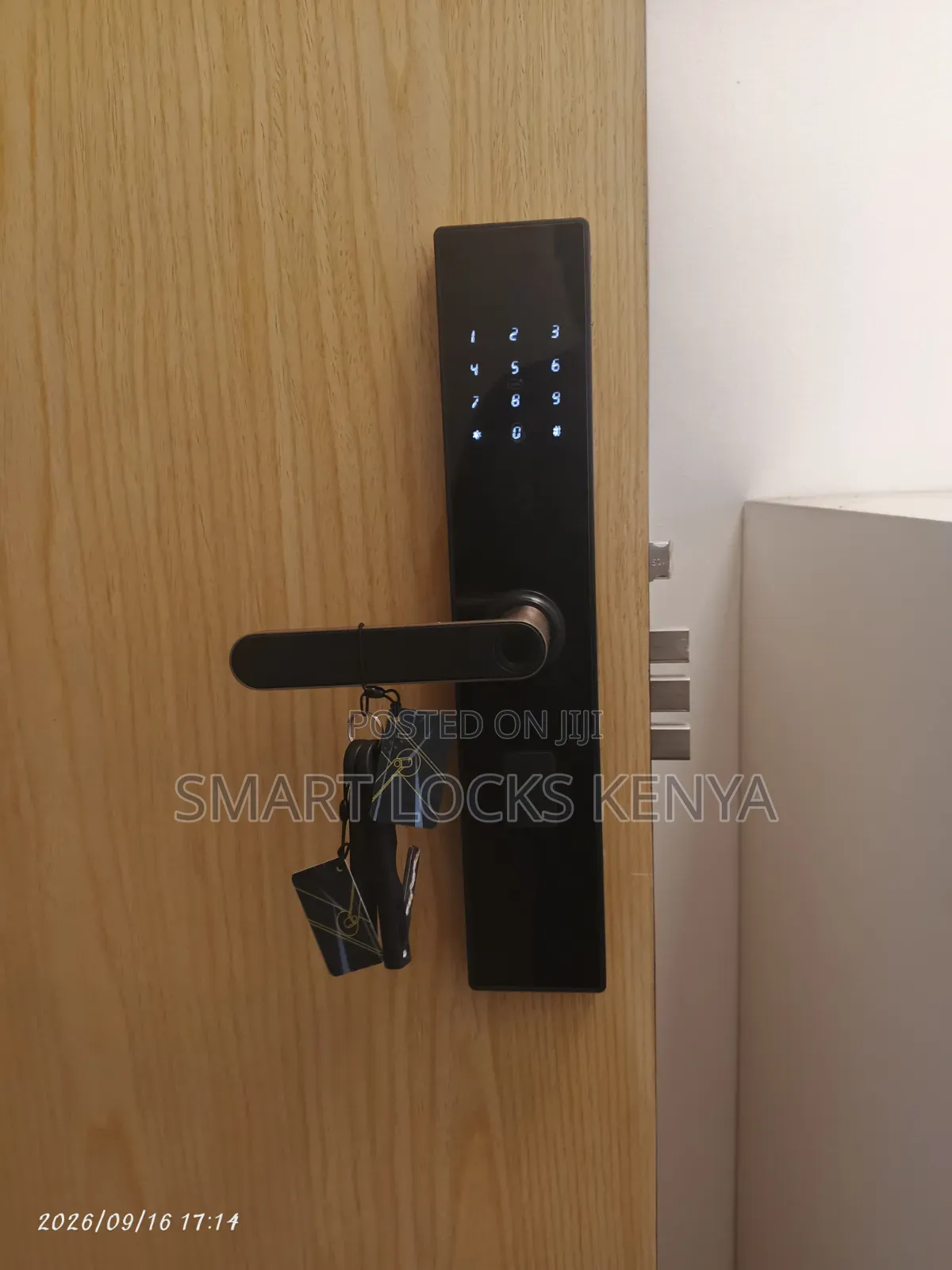 Smart Lock With Tuya App Smart Password Control