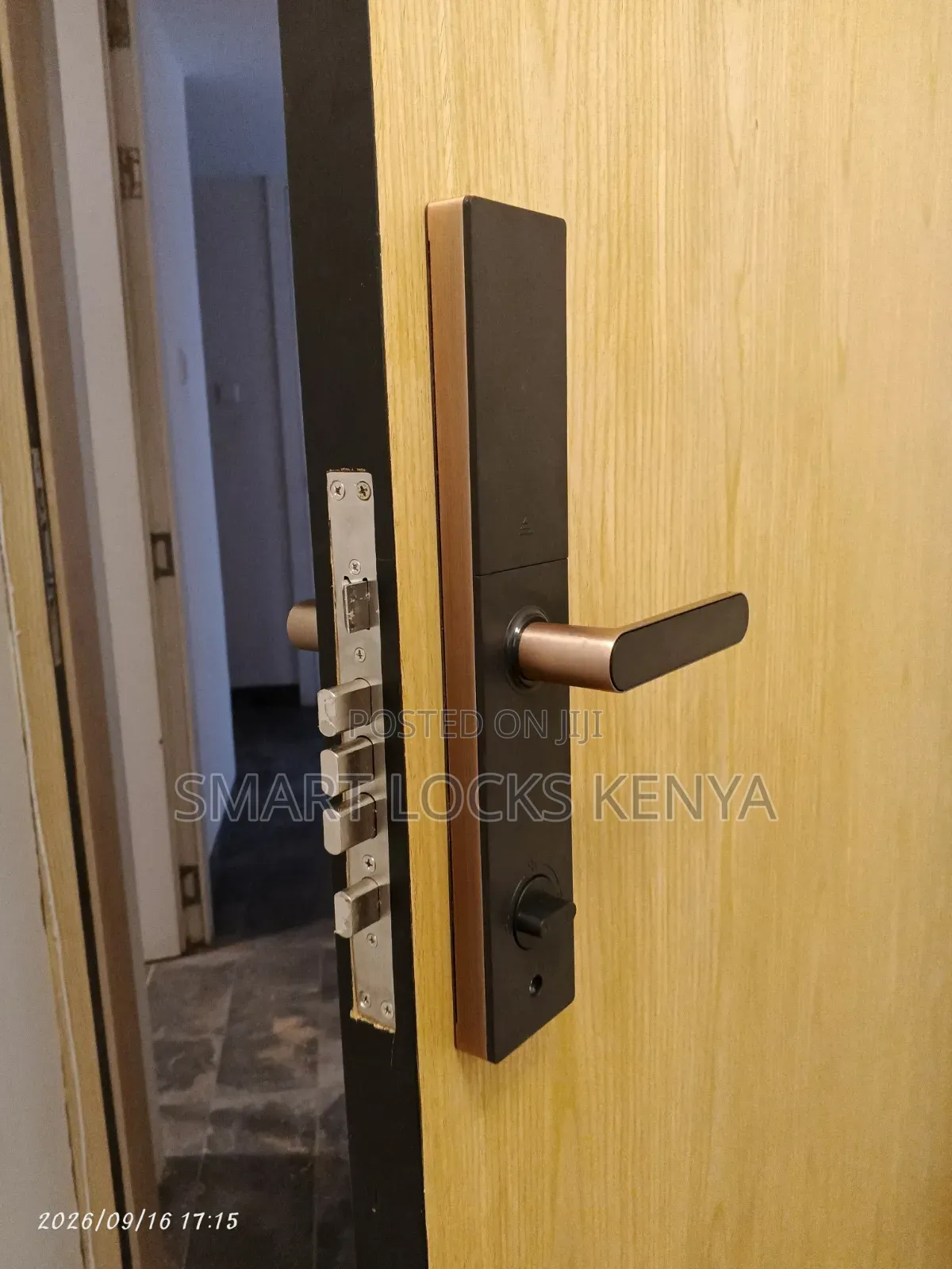 Smart Lock With Tuya App Smart Password Control