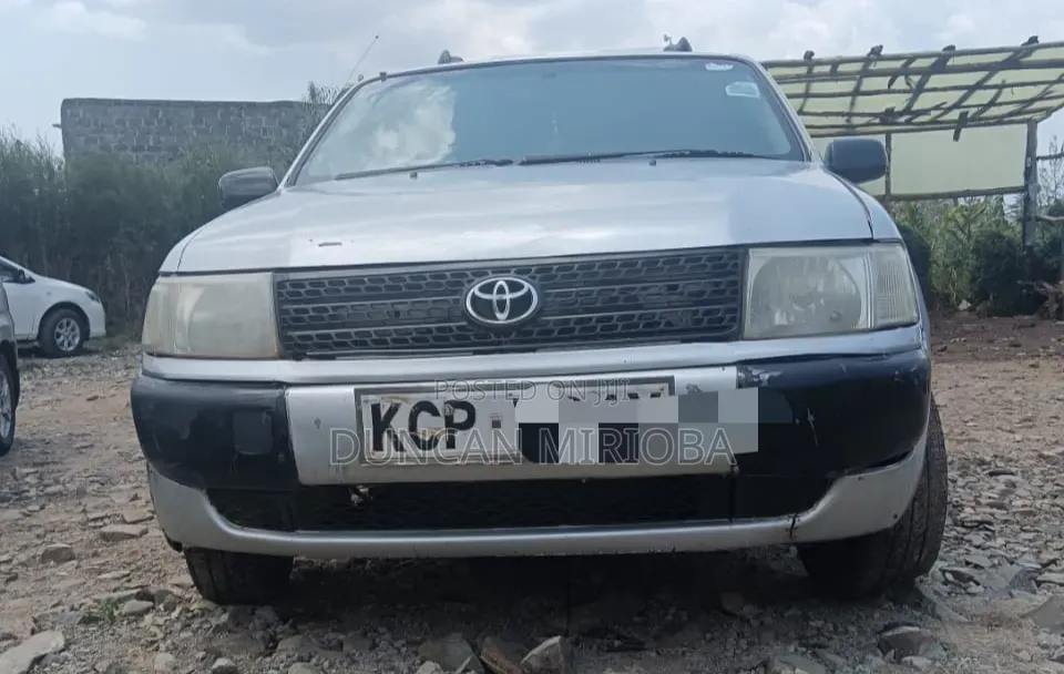 Toyota Probox 2012 Silver