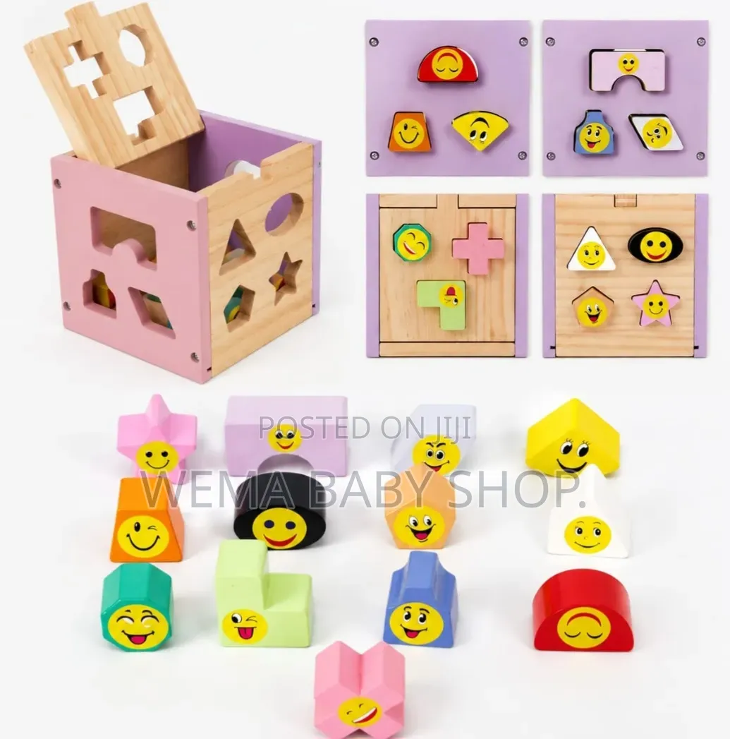 Montessori Wooden Shape Sorter and Emotion Matching Box