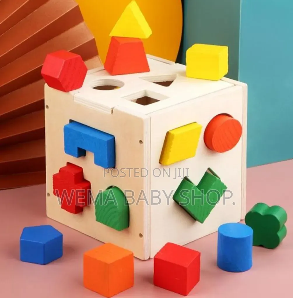 Montessori Wooden Shape Sorter and Emotion Matching Box
