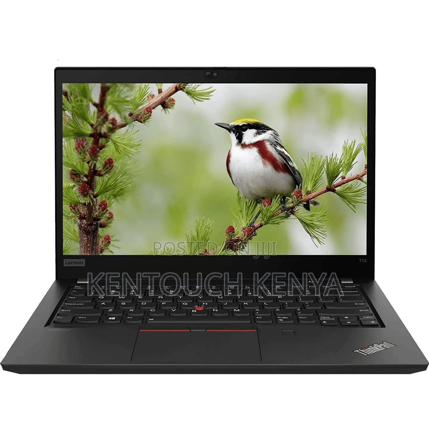 Laptop Lenovo ThinkPad T14 8GB Intel Core i5 SSD 256GB