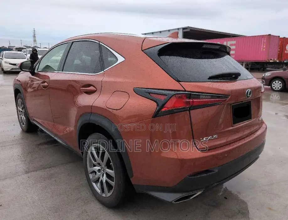 Lexus NX 300 AWD 2019 Orange