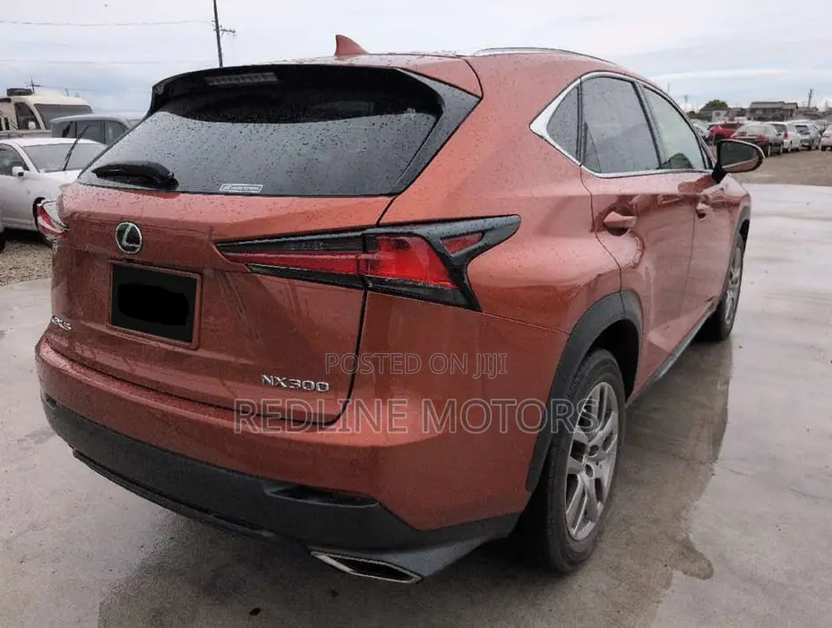 Lexus NX 300 AWD 2019 Orange