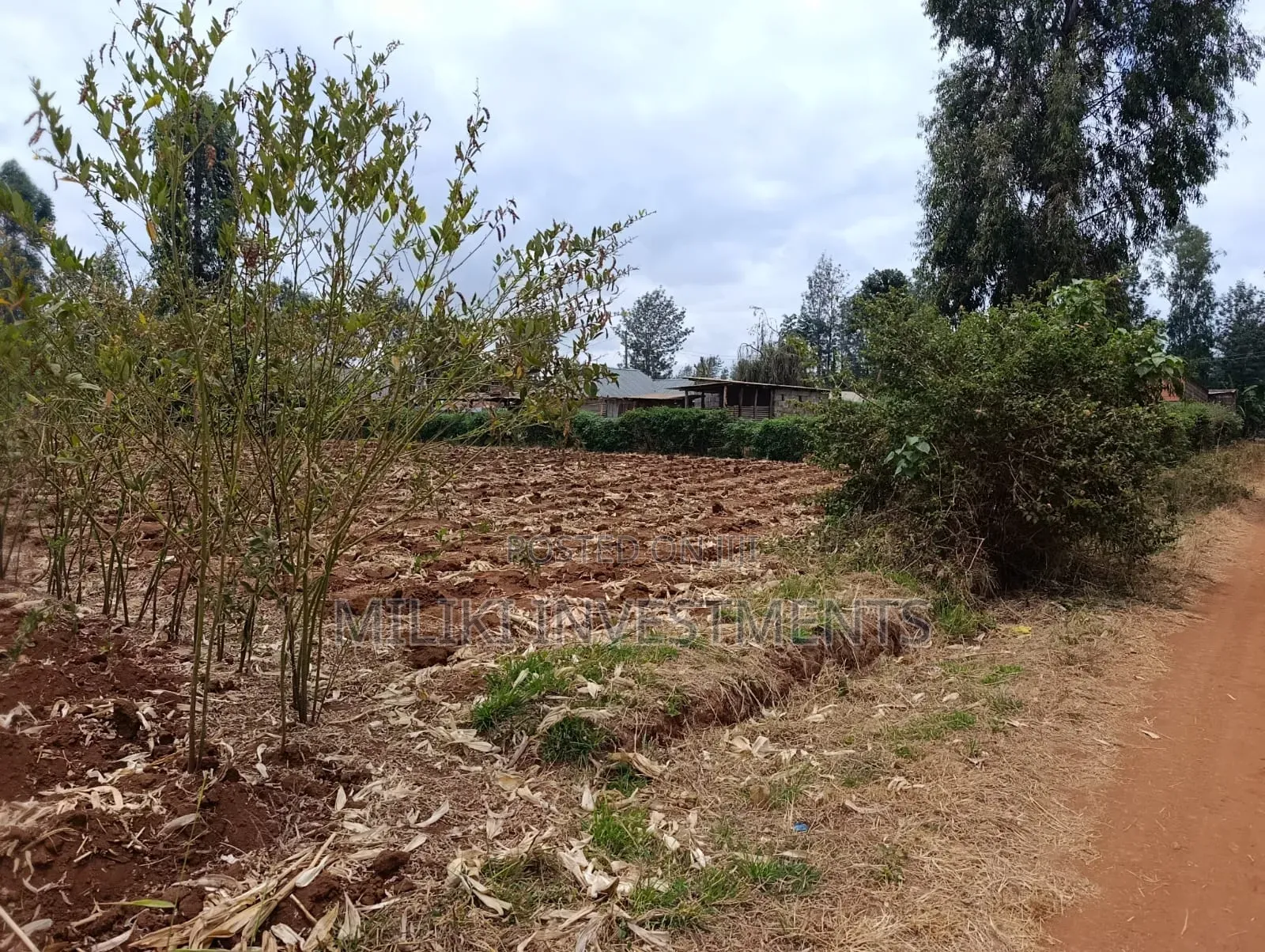 Quarter an Acre Plot on Sale at Githingiri