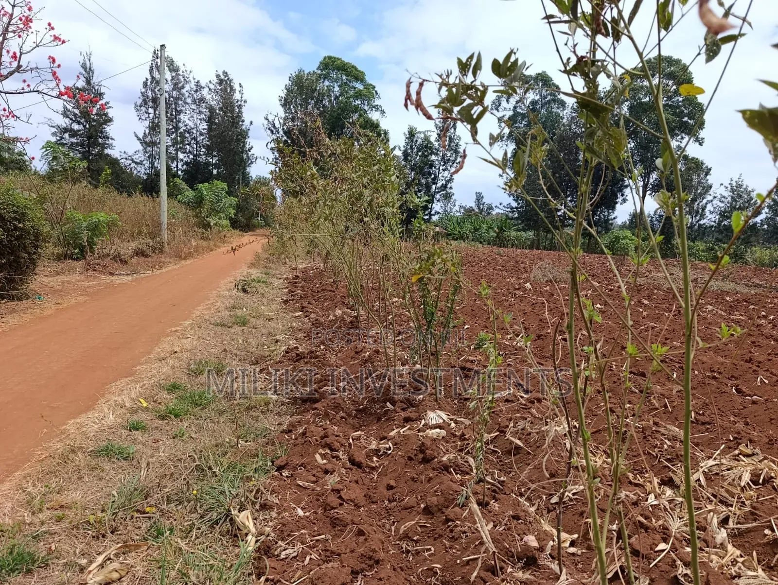 Quarter an Acre Plot on Sale at Githingiri