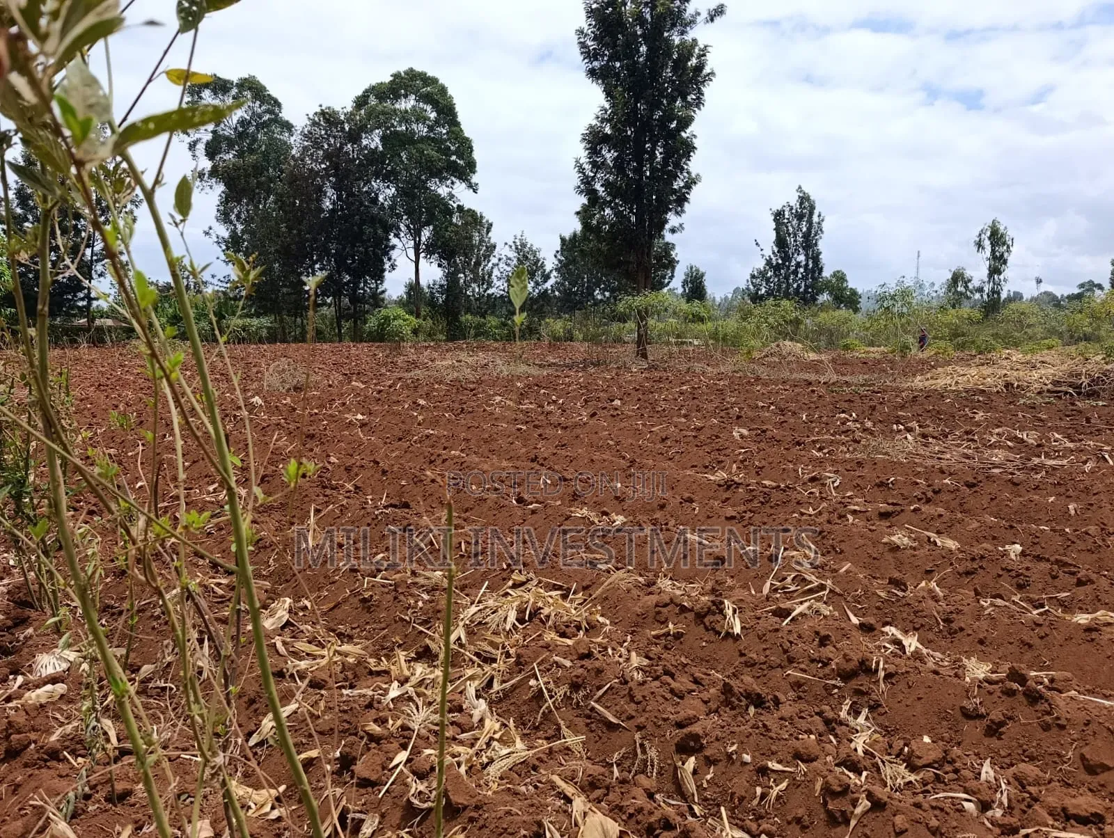 Quarter an Acre Plot on Sale at Githingiri