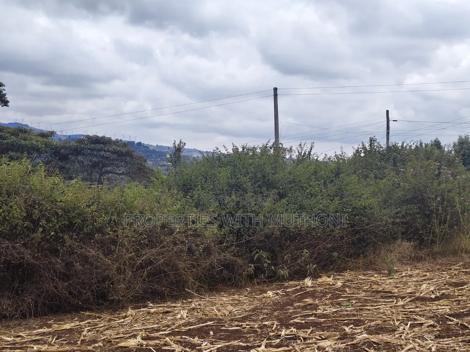 1 and 1/2 Acres for Sale in Olkeri for Sale.