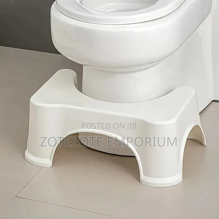 Toilet Squat Step
