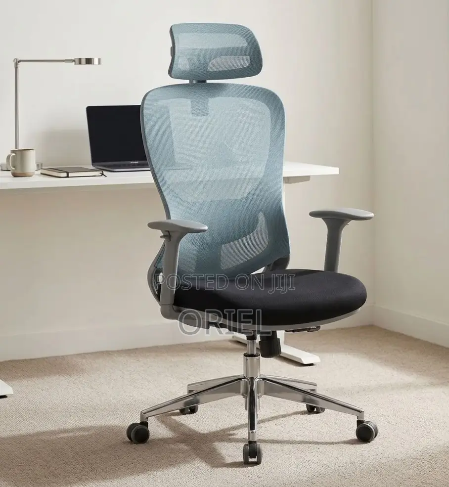 Office Chair : Blue Back Ergonomic Office Staff Chair