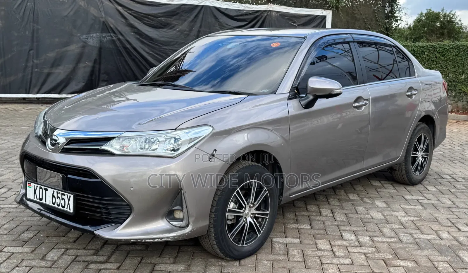 Toyota Axio 2019 Gray