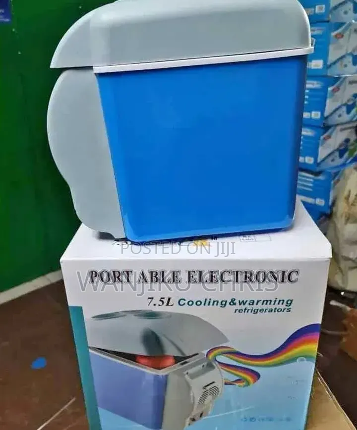 Portable Mini Car Fridge