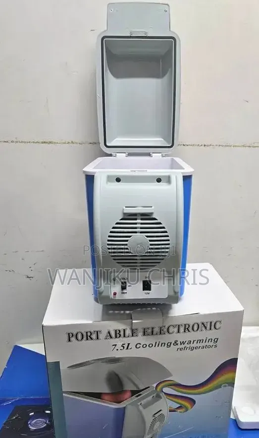 Portable Mini Car Fridge