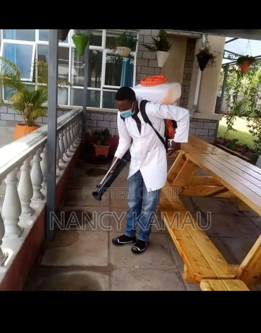 Roaches Fumigation