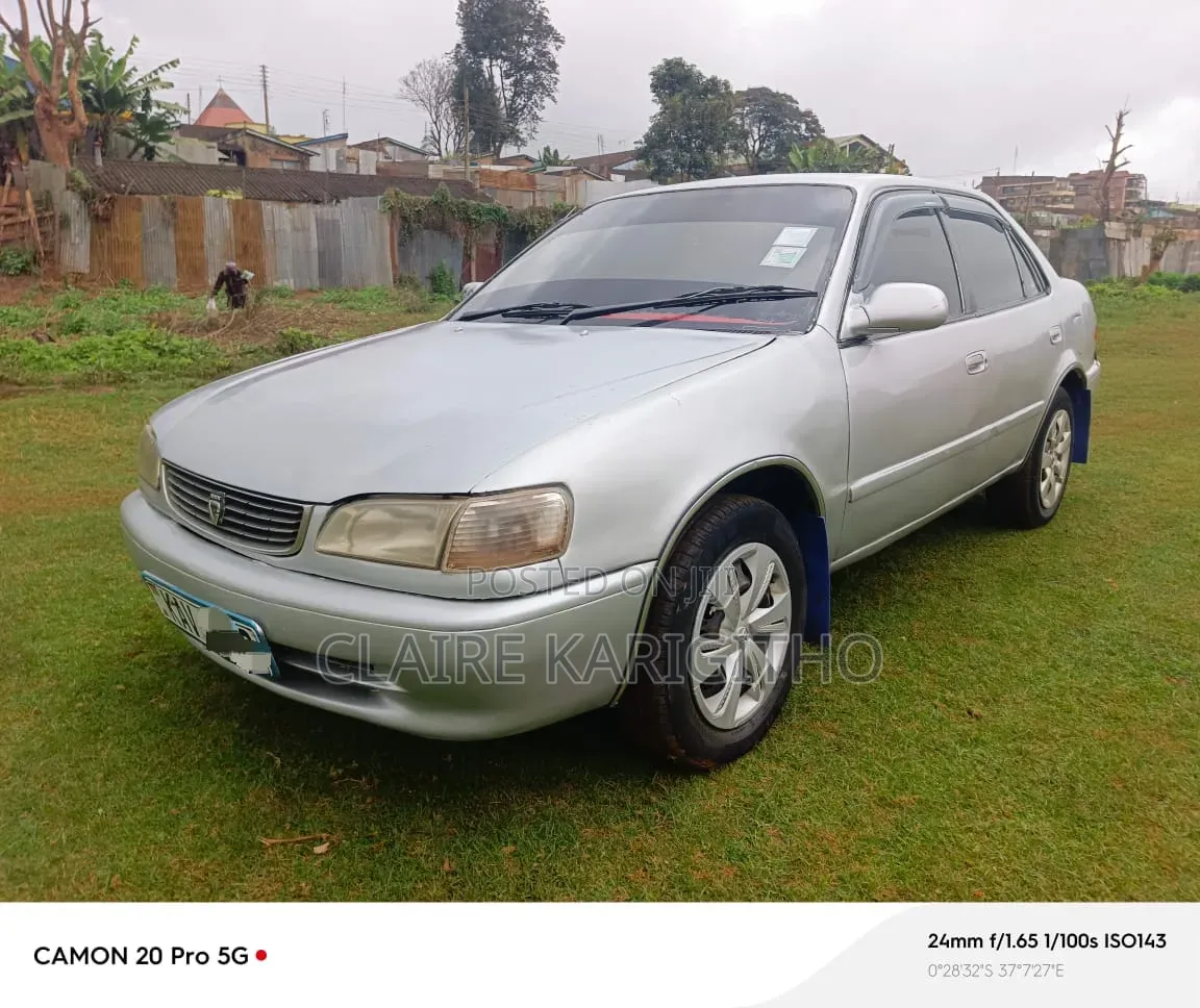 Toyota Corolla 2005 Silver