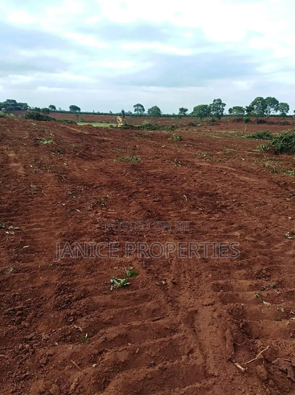 Secure Your 1/4 Acre Today! Experience Luxury Living at Karunguru