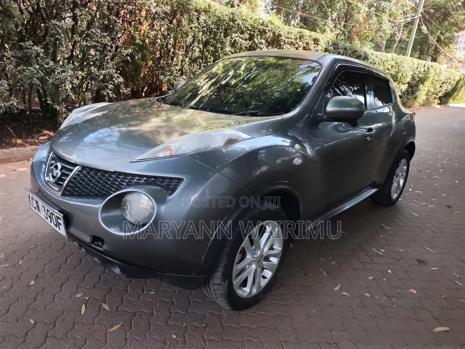 Nissan Juke 2012 Gray